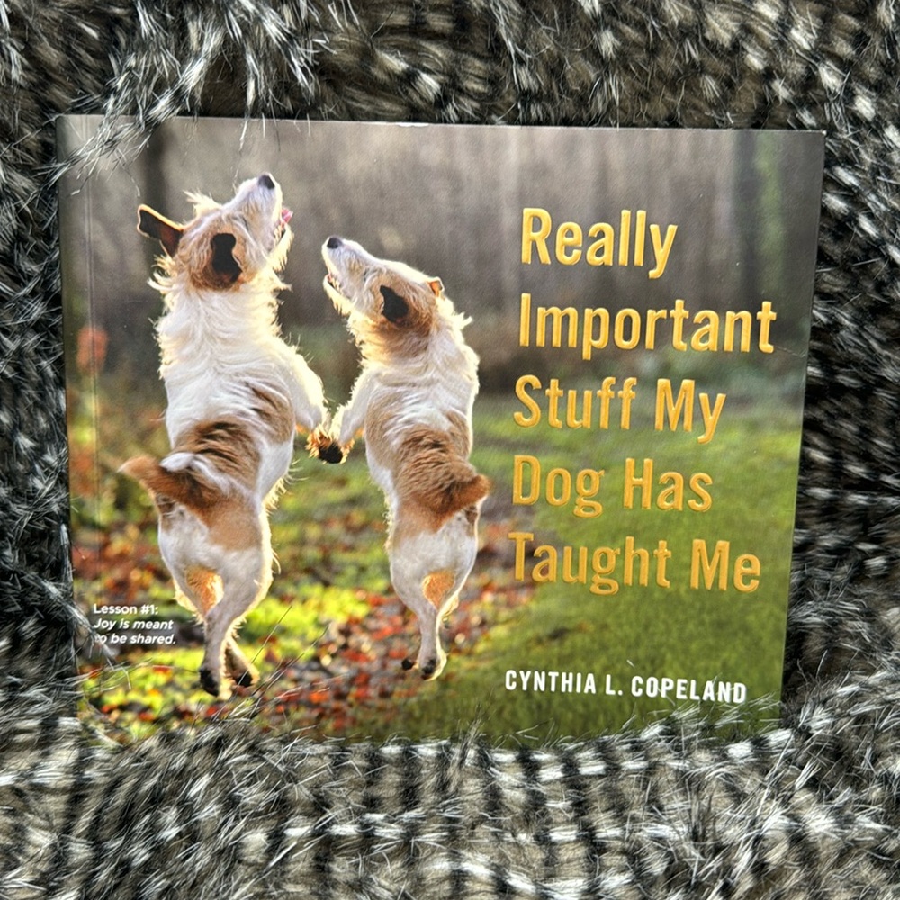Really Important Stuff My Dog Has Taught Me by Cynthia L Copeland Book